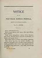  no thumbnail available