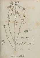  no thumbnail available