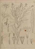  no thumbnail available