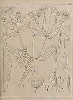  no thumbnail available