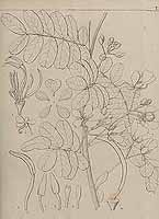  no thumbnail available