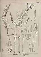  no thumbnail available