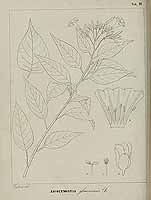  no thumbnail available