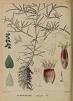  no thumbnail available