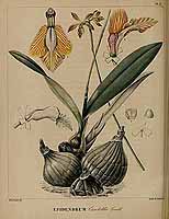  no thumbnail available