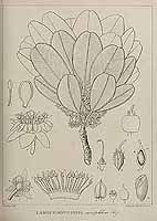  no thumbnail available