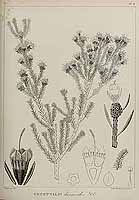  no thumbnail available