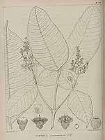  no thumbnail available