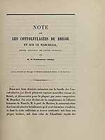  no thumbnail available