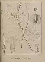  no thumbnail available