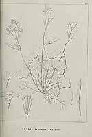  no thumbnail available