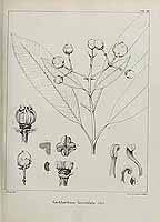  no thumbnail available