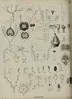  no thumbnail available