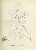  no thumbnail available