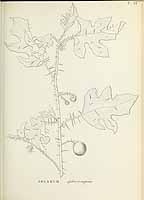  no thumbnail available