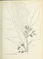  no thumbnail available