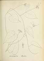  no thumbnail available