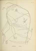  no thumbnail available