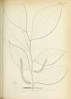  no thumbnail available