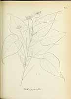  no thumbnail available