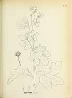  no thumbnail available