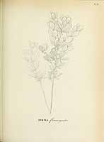  no thumbnail available