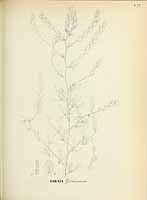  no thumbnail available