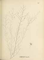  no thumbnail available