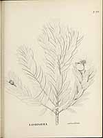  no thumbnail available