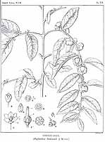  no thumbnail available