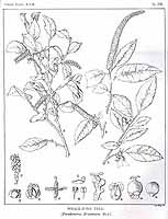  no thumbnail available