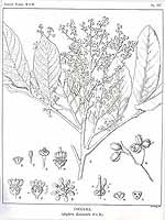  no thumbnail available