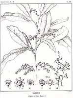  no thumbnail available