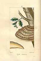  no thumbnail available