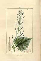  no thumbnail available