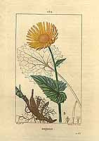  no thumbnail available