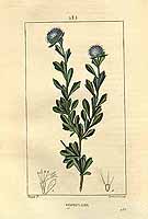  no thumbnail available