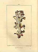  no thumbnail available