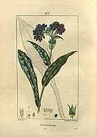  no thumbnail available