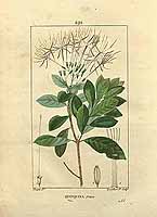  no thumbnail available