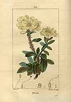  no thumbnail available