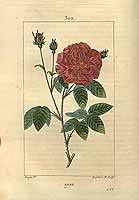  no thumbnail available