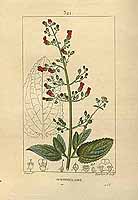  no thumbnail available