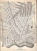  no thumbnail available