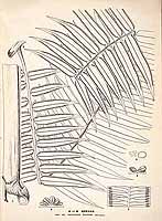  no thumbnail available