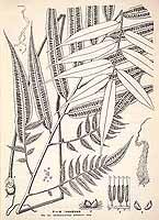  no thumbnail available