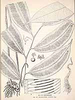  no thumbnail available