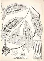  no thumbnail available